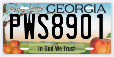 GA license plate PWS8901