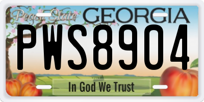 GA license plate PWS8904