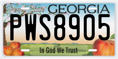 GA license plate PWS8905