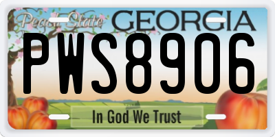 GA license plate PWS8906