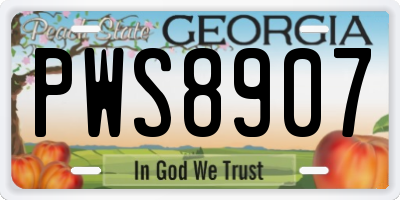 GA license plate PWS8907