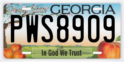 GA license plate PWS8909