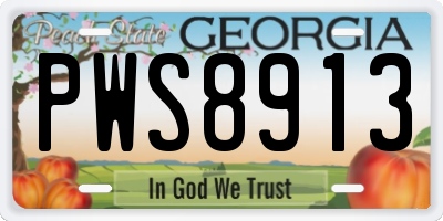 GA license plate PWS8913