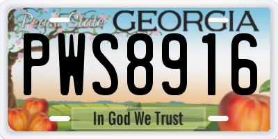 GA license plate PWS8916