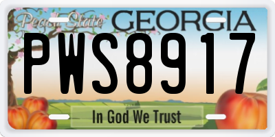 GA license plate PWS8917