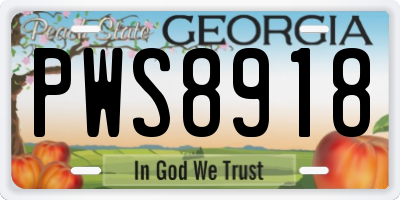 GA license plate PWS8918