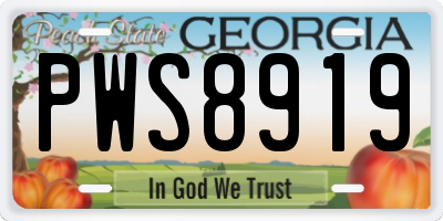 GA license plate PWS8919