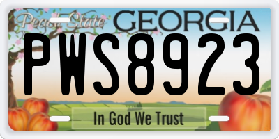 GA license plate PWS8923