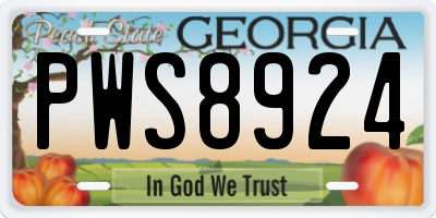 GA license plate PWS8924