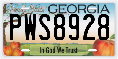 GA license plate PWS8928
