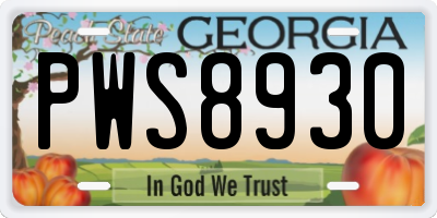 GA license plate PWS8930