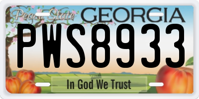 GA license plate PWS8933