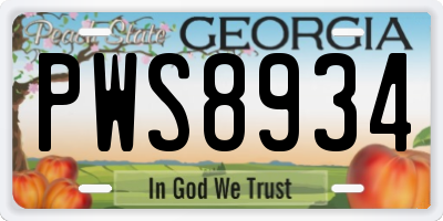 GA license plate PWS8934