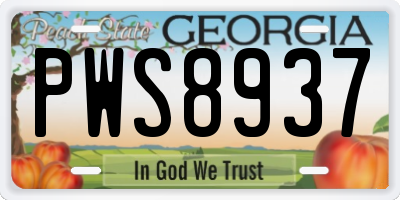 GA license plate PWS8937