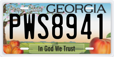 GA license plate PWS8941