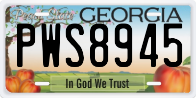 GA license plate PWS8945