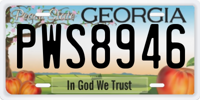 GA license plate PWS8946