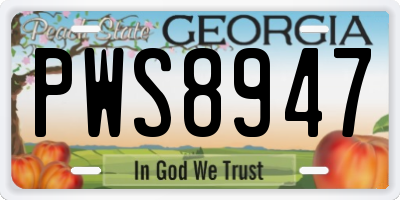 GA license plate PWS8947