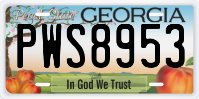 GA license plate PWS8953