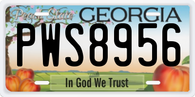 GA license plate PWS8956