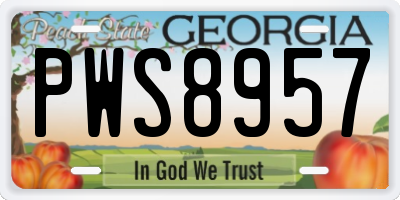 GA license plate PWS8957