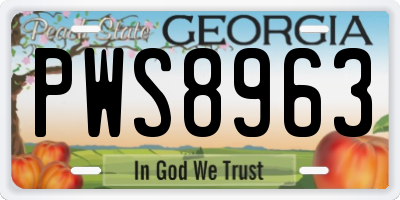 GA license plate PWS8963