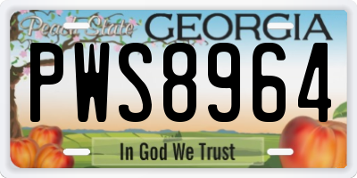 GA license plate PWS8964