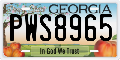 GA license plate PWS8965