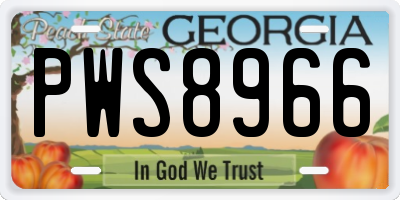 GA license plate PWS8966