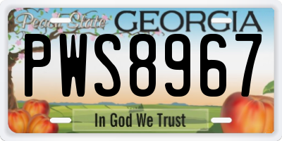 GA license plate PWS8967