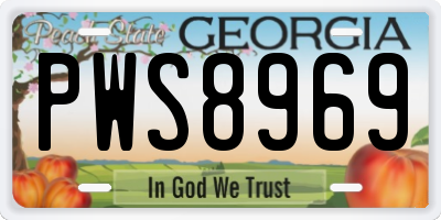 GA license plate PWS8969