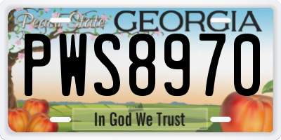GA license plate PWS8970