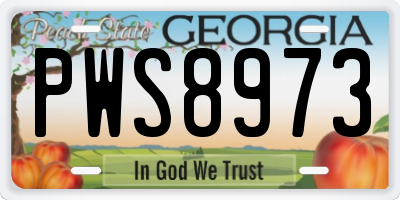 GA license plate PWS8973