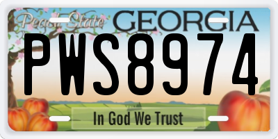 GA license plate PWS8974