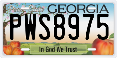 GA license plate PWS8975