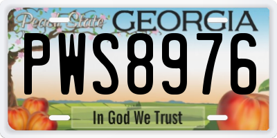 GA license plate PWS8976