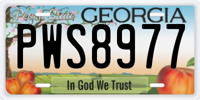 GA license plate PWS8977