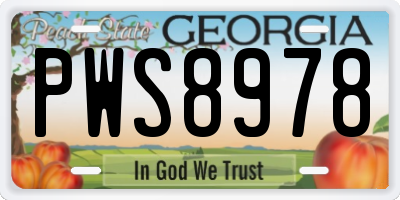 GA license plate PWS8978