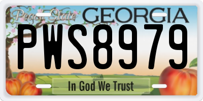 GA license plate PWS8979