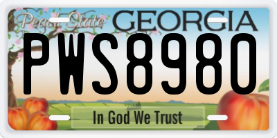 GA license plate PWS8980