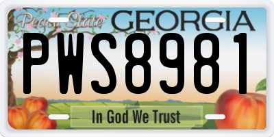 GA license plate PWS8981