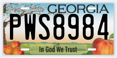 GA license plate PWS8984