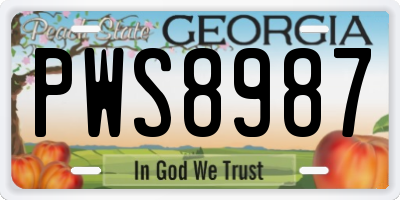 GA license plate PWS8987