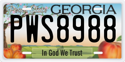 GA license plate PWS8988