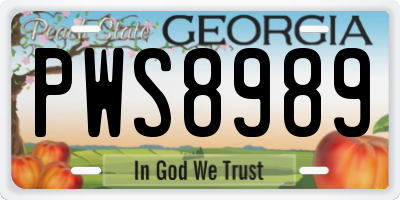 GA license plate PWS8989