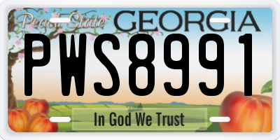GA license plate PWS8991