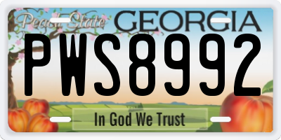 GA license plate PWS8992