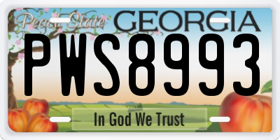 GA license plate PWS8993