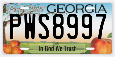 GA license plate PWS8997
