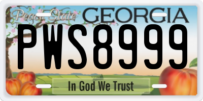 GA license plate PWS8999